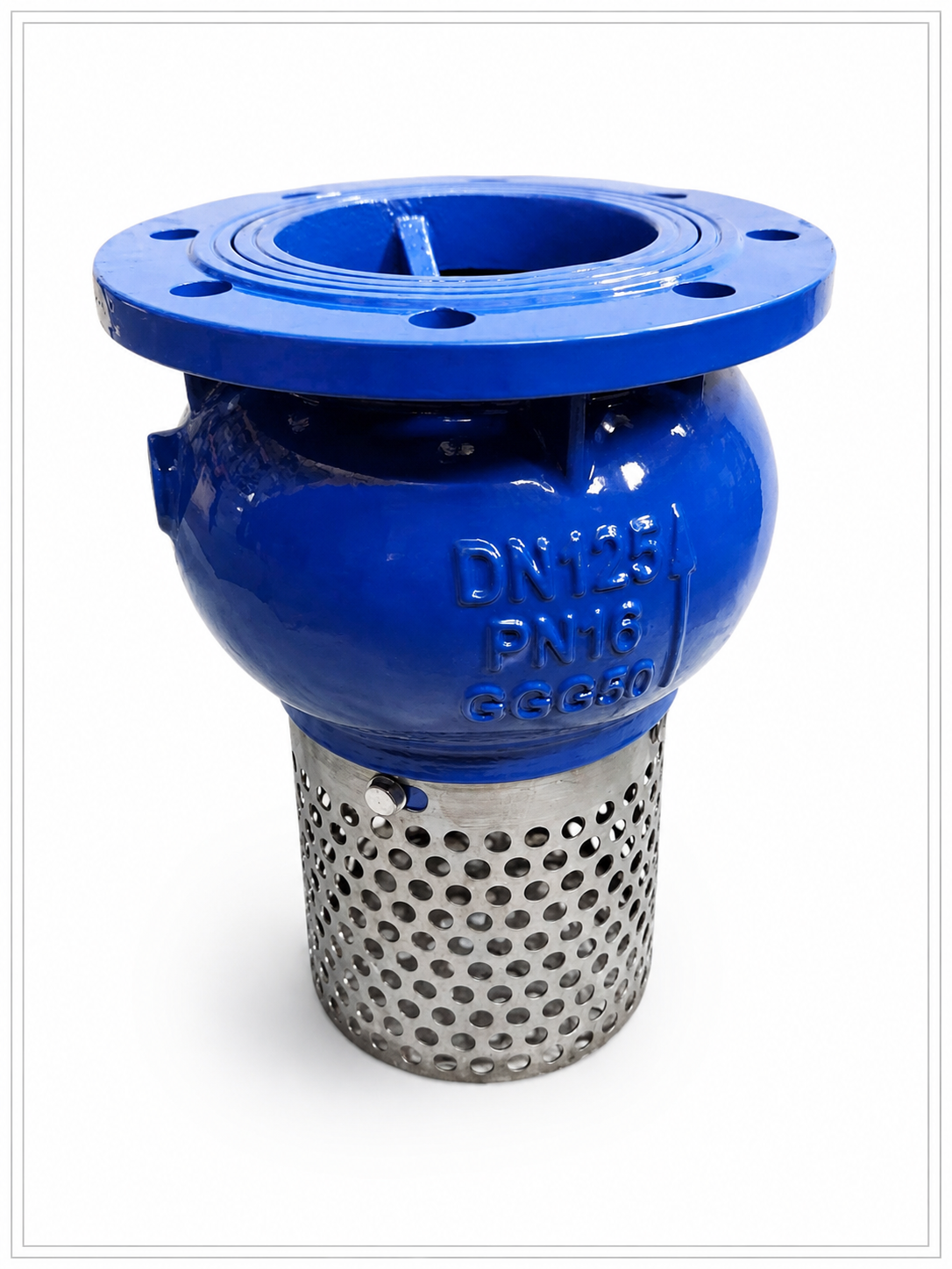 Rọ Bơm PN16 Gang GG50 – Rọ hút Mặt Bích Có Lưới Lọc